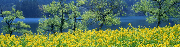 ながの環境パートナーシップ会議