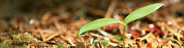 ながの環境パートナーシップ会議